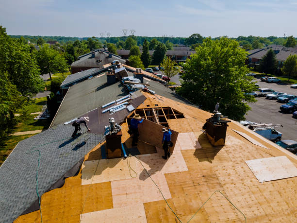 Quick and Trustworthy Emergency Roof Repair Services in Magnolia, NC